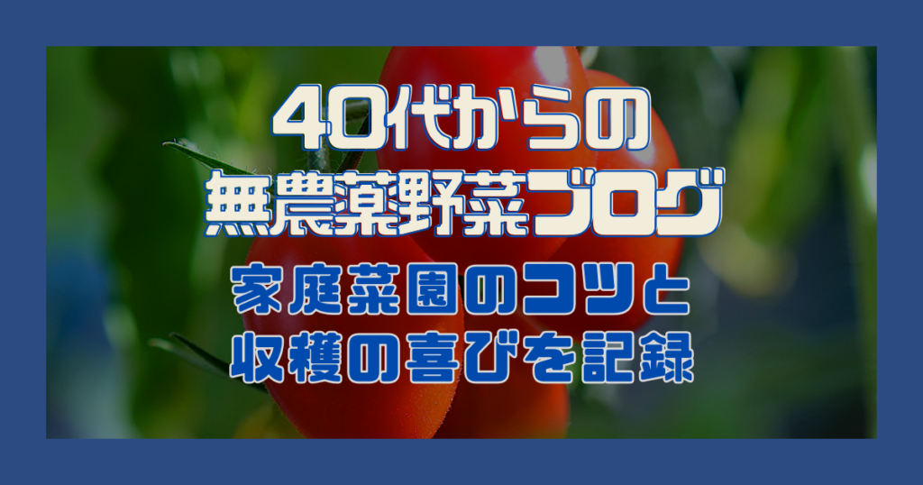 40代からの無農薬野菜ブログ｜家庭菜園のコツと収穫の喜びを記録